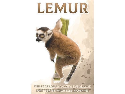 Lemur: Fun Facts on Zoo Animals for Kids #22