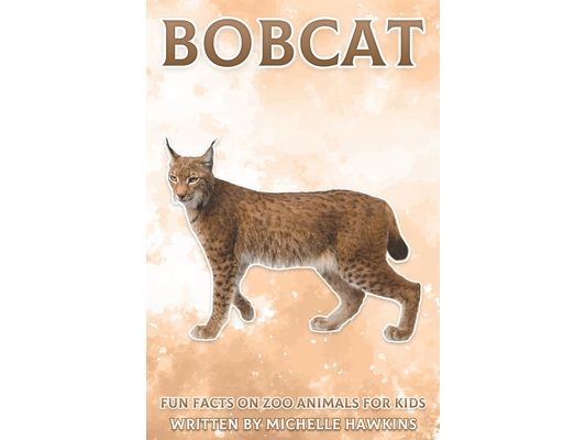 Bobcat: Fun Facts on Zoo Animals for Kids #28
