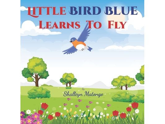 Little Bird Blue Learns To Fly