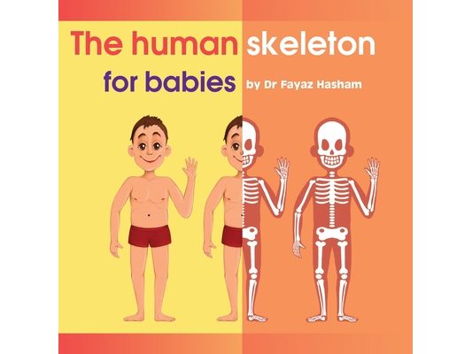 The human skeleton for babies