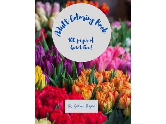 Adult Coloring Book: 100 pages of quiet time. Fun & Relaxing. Great for stocking stuffers or a gift for any occasion!