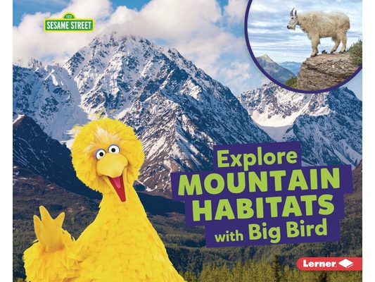 Explore Mountain Habitats with Big Bird