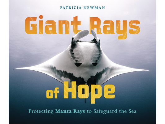 Giant Rays of Hope: Protecting Manta Rays to Safeguard the Sea