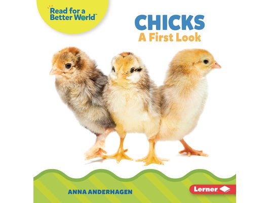 Chicks: A First Look
