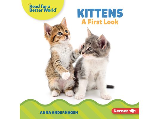 Kittens: A First Look