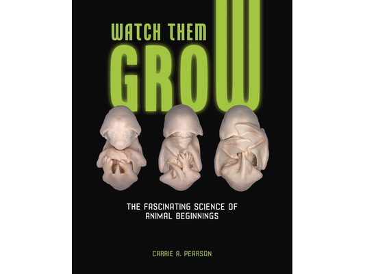 Watch Them Grow: The Fascinating Science of Animal Beginnings