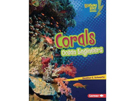 Corals: Ocean Engineers