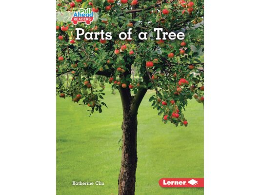 Parts of a Tree