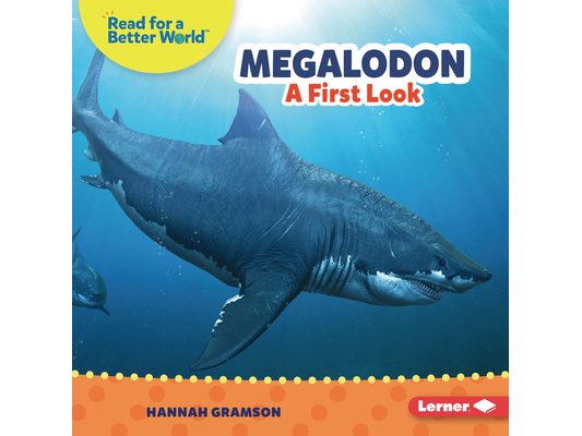 Megalodon: A First Look
