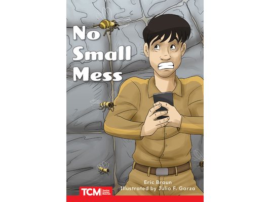 No Small Mess: Level 1: Book 7