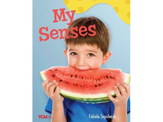 My Senses: A Wordless Nonfiction Book