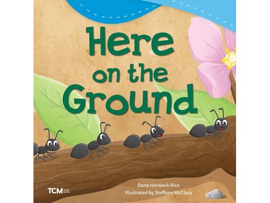 Here on the Ground
