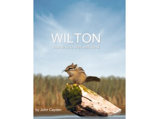 Wilton Home In a Wet Wet Land