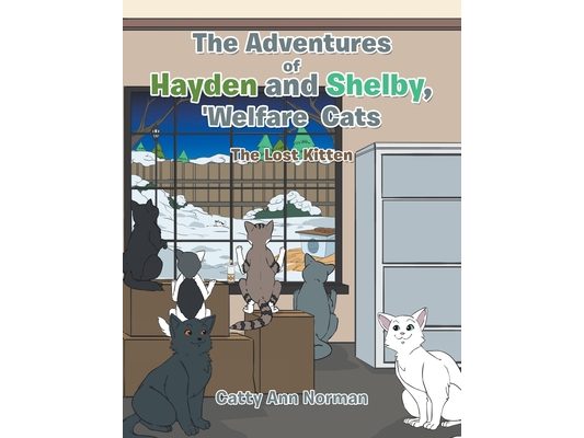 The Adventures of Hayden and Shelby, 'Welfare Cats: The Lost Kitten