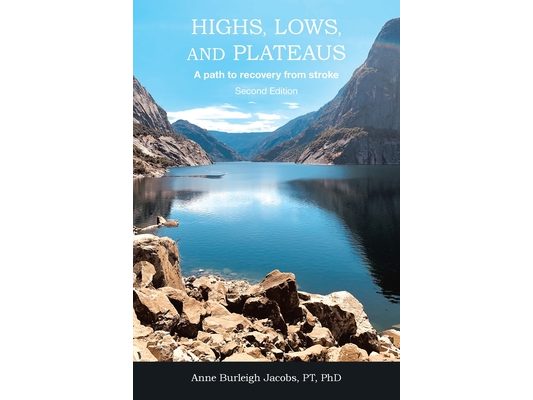 Highs, Lows, and Plateaus: A path to recovery from stroke