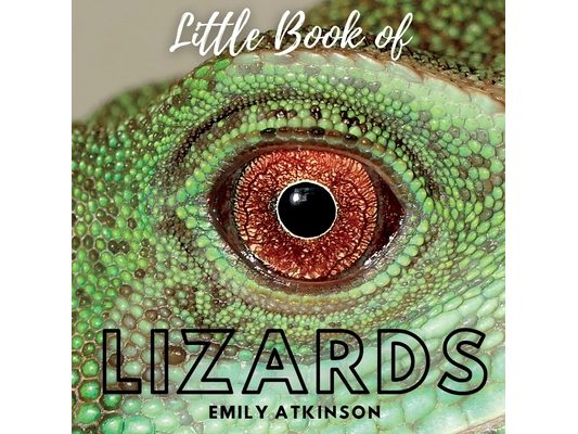 Little Book of Lizards