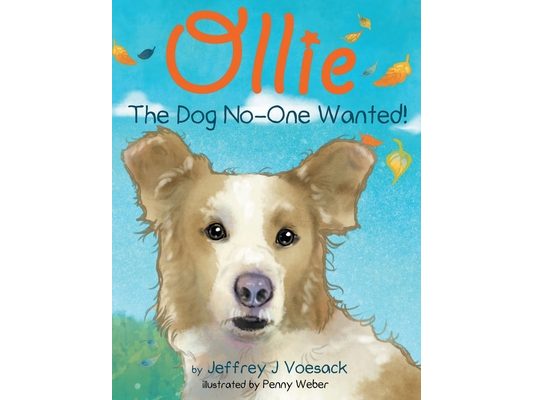 Ollie: The Dog No-One Wanted!