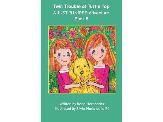Twin Trouble at Turtle Top: A JUST JUNIPER Adventure