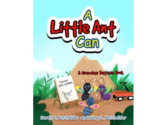 A Little Ant Can