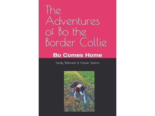 The Adventures of Bo the Border Collie: Bo Comes Home