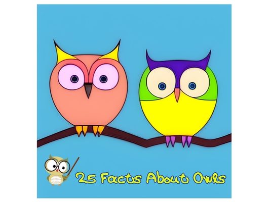 25 Facts About Owls: Discover the Secrets of the Night's Wise Hunters!