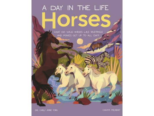 Horses: What Do Wild Horses Like Mustangs and Ponies Get Up to All Day?