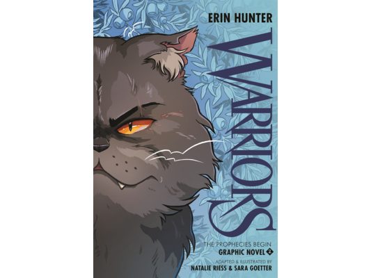 Prophecies Begin 2 (Graphic Novel)