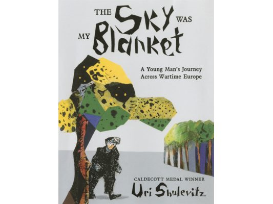 Sky Was My Blanket: A Young Man's Journey Across Wartime Europe