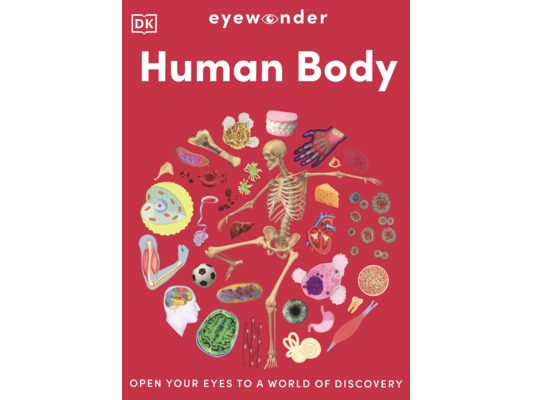 Human Body: Open Your Eyes to a World of Discovery