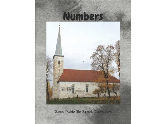 The Book of Numbers: Deep Inside the Forest Curriculum