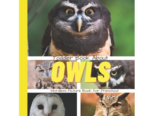 Toddler Book About Owls: A Picture Book for Preschoolers