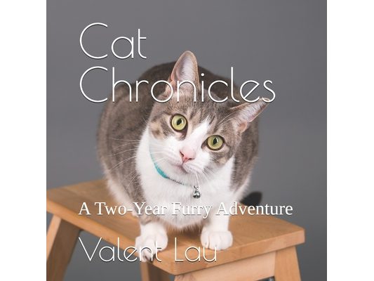 Cat Chronicles: A Two-Year Furry Adventure