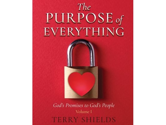 The Purpose of Everything (Volume 1): God's Promises to God's People