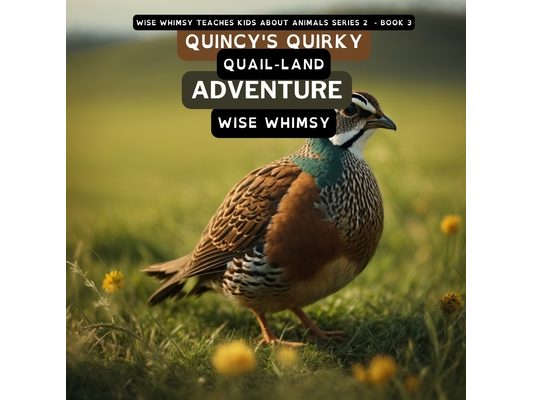 Quincy's Quirky Quail-land Adventure