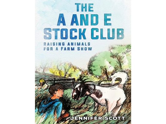 The A and E Stock Club Raising Stock Animals for Farm Show