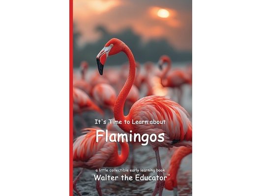 It's Time to Learn about Flamingos