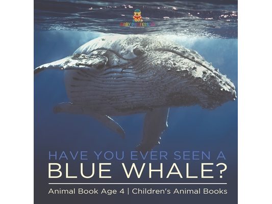 Have You Ever Seen A Blue Whale? Animal Book Age 4 Children's Animal Books