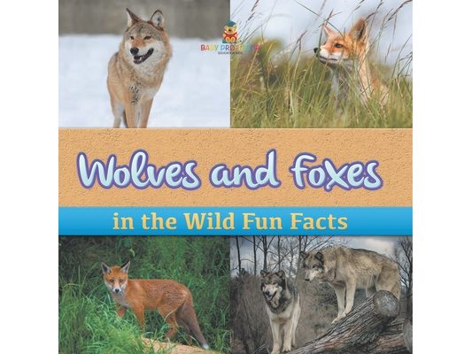 Wolves and Foxes in the Wild Fun Facts