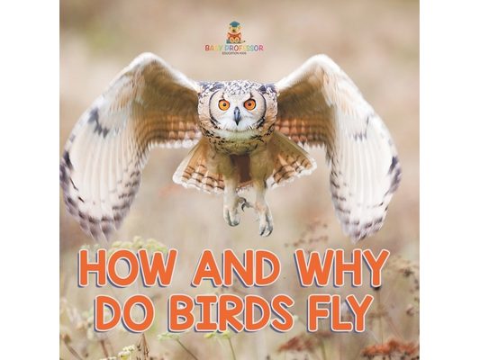 How and Why Do Birds Fly