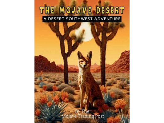 The Mojave Desert: A Desert Southwest Coloring Adventure