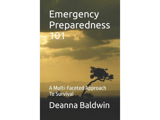 Emergency Preparedness 101: A Multi-Faceted Approach To Survival