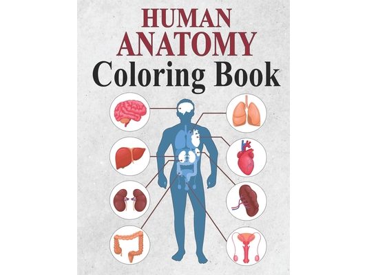 Human Anatomy Coloring Book: Facts and Activity