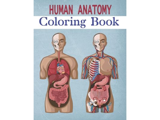 Human Anatomy Coloring Book: Brain Heart ... for kids