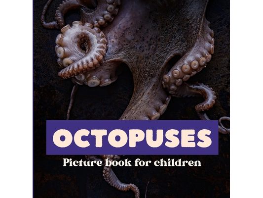 Octopuses: Picture book for children