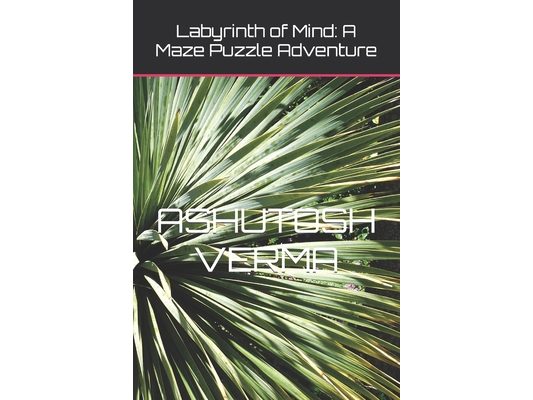 Labyrinth of Mind: A Maze Puzzle Adventure