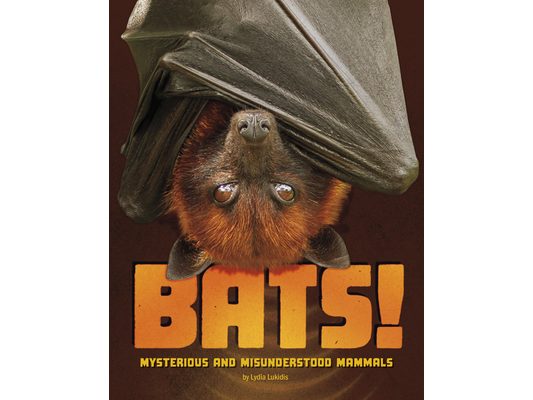 Bats!: Mysterious and Misunderstood Mammals