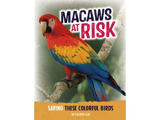 Macaws at Risk: Saving These Colorful Birds