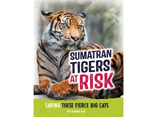 Sumatran Tigers at Risk: Saving These Fierce Big Cats