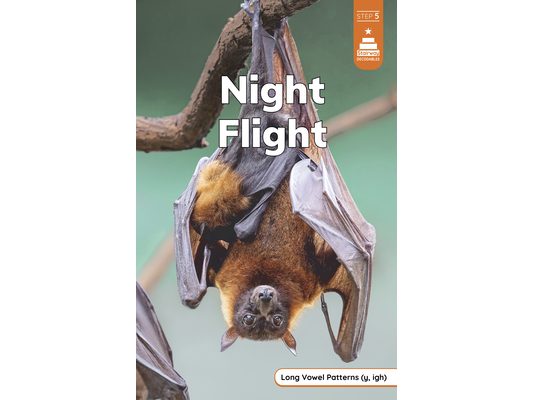 Night Flight