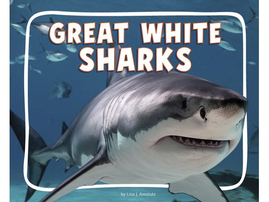 Great White Sharks